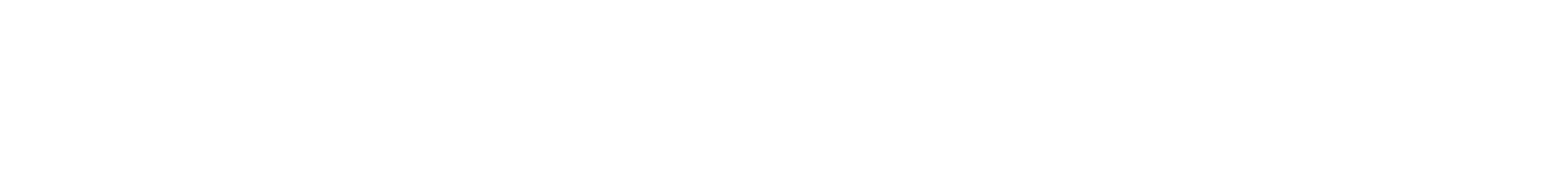 loidold-and-partners-logo-white